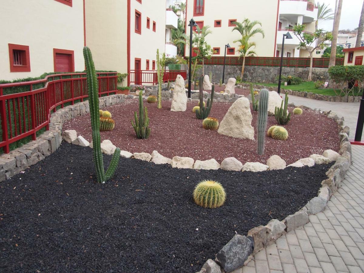 Maravilloso Y Tranquilo Alojamiento En El Palm-Mar Exterior photo